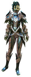 Strider's armor sylvari female front.jpg