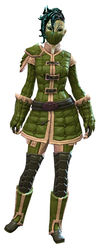 Studded armor sylvari female front.jpg