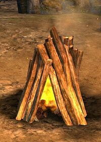 Campfire.jpg