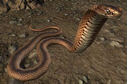 Snake (Tideland Outlet).jpg