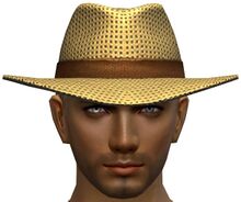 Beach Hat male.jpg