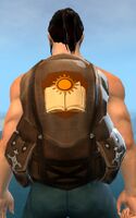 Guild Assassin Backpack.jpg