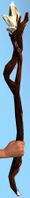 Hard Wood Scepter.jpg