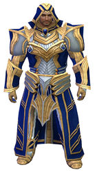 Priory's Historical armor (light) norn male front.jpg