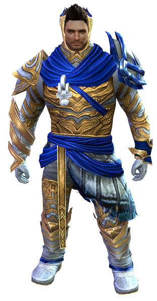 File:Carapace armor (light) norn male front.jpg