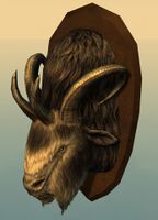 Mounted Dolyak Head.jpg