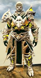 Warbeast armor (medium) norn male front.jpg