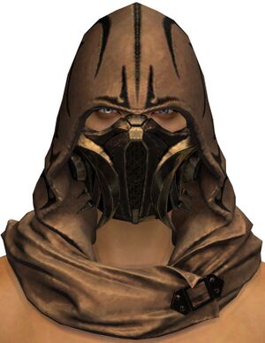 Heretical Scholar's Hood.jpg