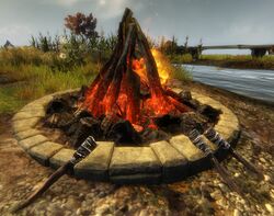 Campfire (Lowland Shore).jpg