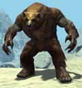 Bear Form appearance.jpg