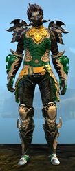 Triumphant Hero's armor (medium) sylvari male front.jpg