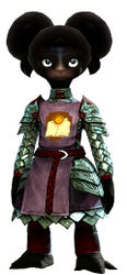 Guild Defender armor asura female front.jpg