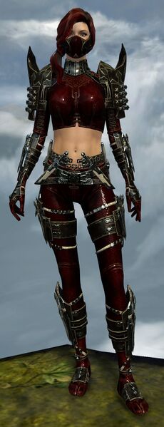 File:True Assassin's Guise Outfit norn female front.jpg