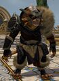 Charr rift hunter warrior