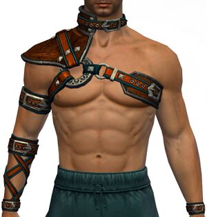 Leather Straps Chestpiece Skin male.jpg