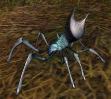 Spider (ambient creature) IBSaga.jpg