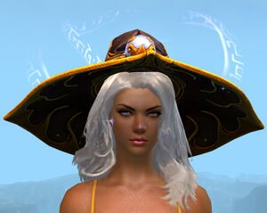 Arcane Spellweaver's Hat.jpg