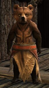 Brown kodan cub.jpg