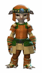 Chainmail armor asura female front.jpg