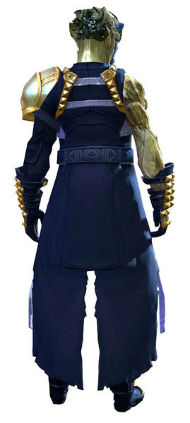 File:Armor of Koda (medium) sylvari male back.jpg
