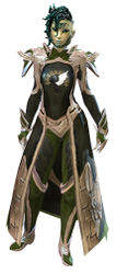 Guild Watchman armor sylvari female front.jpg