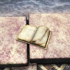 Battered Book (Dragon's End).jpg
