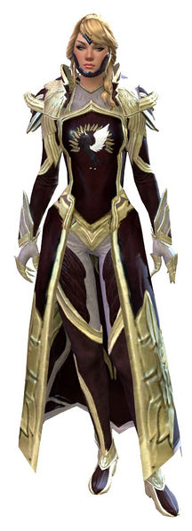 File:Guild Watchman armor human female front.jpg