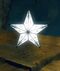 Embellished Wintersday Star.jpg