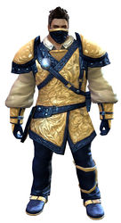 Duelist armor norn male front.jpg