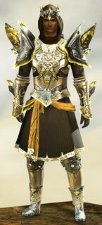 Mistforged Glorious Hero's armor (light) human male front.jpg