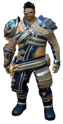 Viper's armor norn male front.jpg