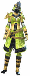 Emblazoned armor sylvari female front.jpg