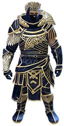 Wolf armor norn male front.jpg