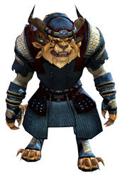 Chainmail armor charr male front.jpg
