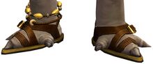 Beach Sandals asura.jpg