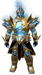 Zodiac armor (medium) norn male front.jpg