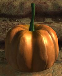 Pumpkin.jpg