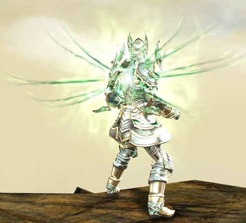 Back view in combat stance