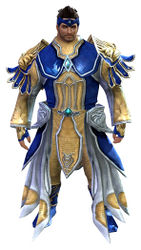 Stately armor norn male front.jpg